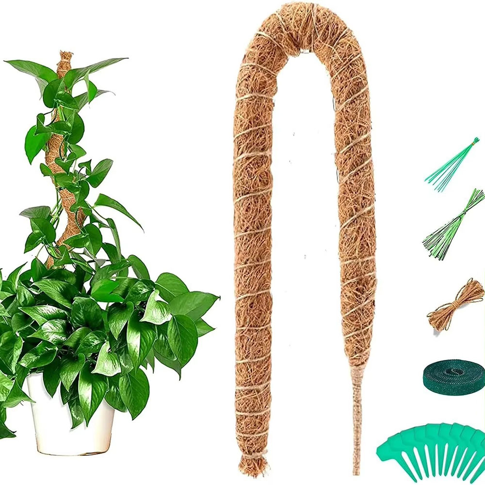 Pothos - 園芸用ココナッツヤシ棒 グリーンロウ 鉢植え植物固定用 植物登攀棒 サポート ココナッツヤシ登攀棒
