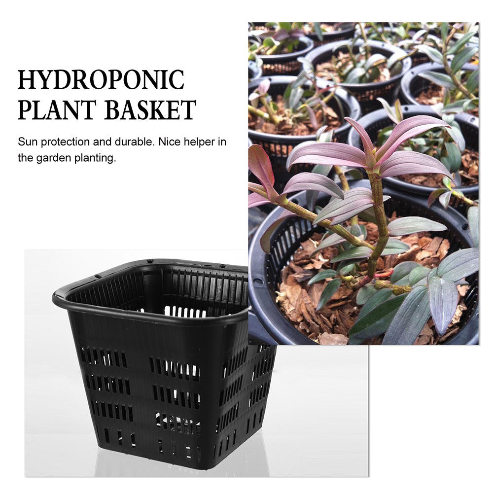 15個入り、根の成長を促進するプランター、15cm、高品質プ - Indoor Plants のレビューと価格