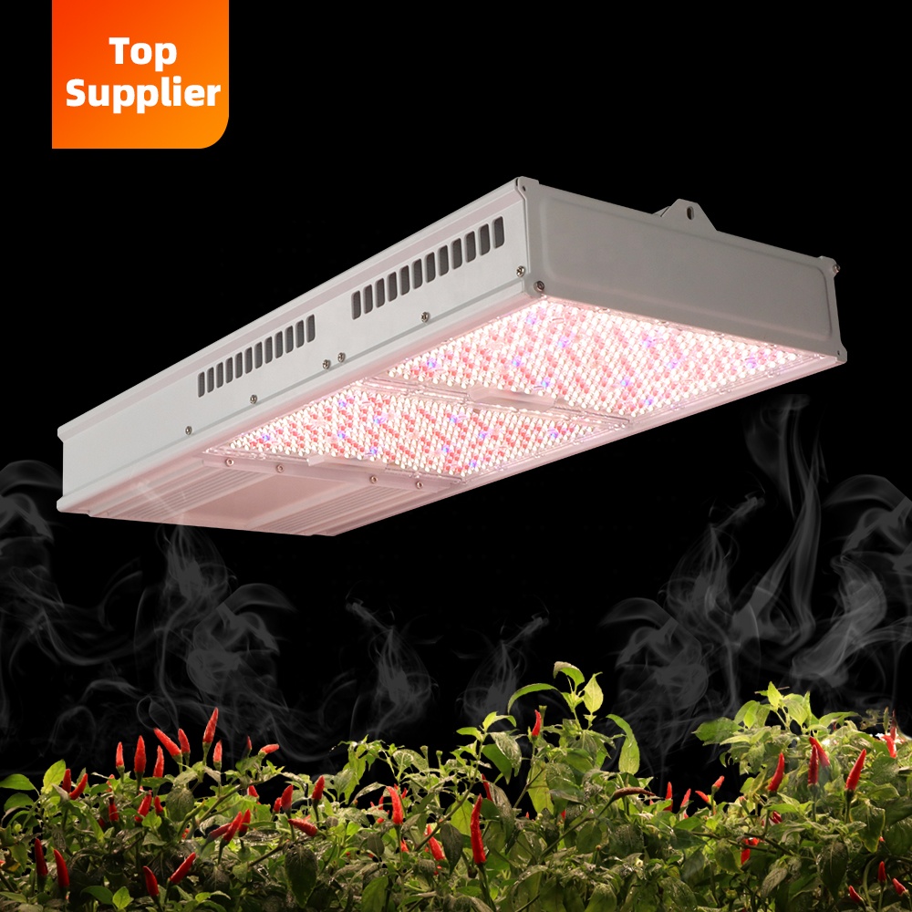 費用対効果の高い600W 800Wトップライトフルスペクトル - Indoor Plants のレビューと価格