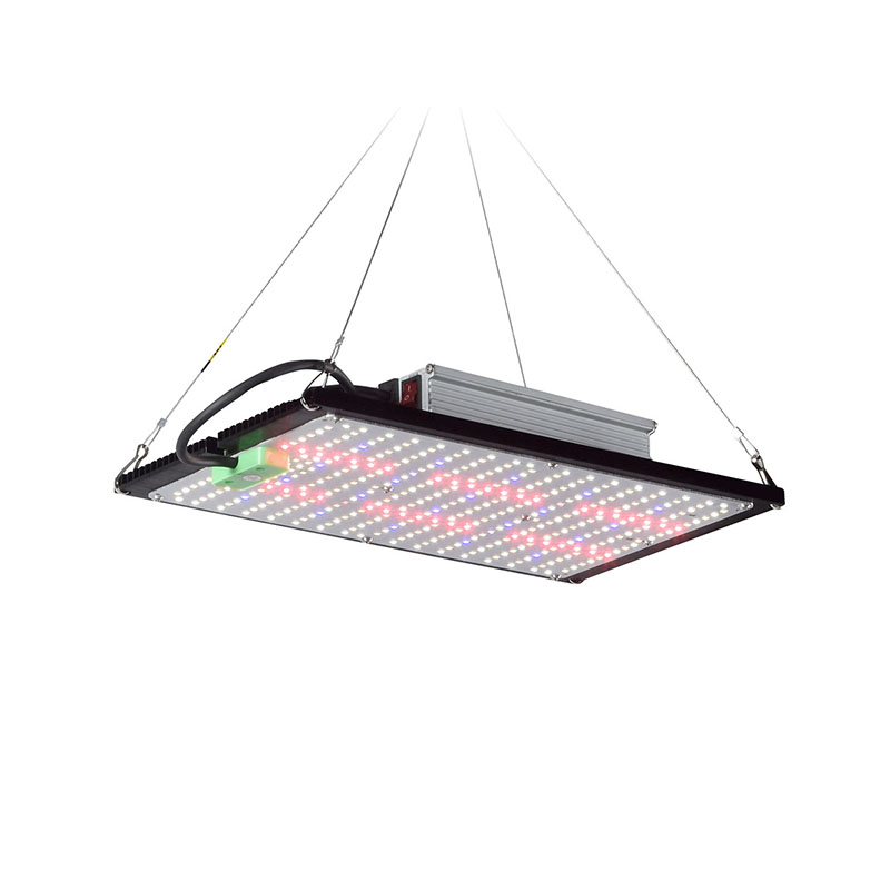 LED量子ボード育成ライト フルスペクトラム 吊り下げ式植物 - Indoor Plants のレビューと価格