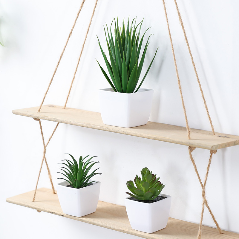 (3 個セット) 家、レストラン、テーブルトップ、窓辺、本棚 - Succulent Set のレビューと価格