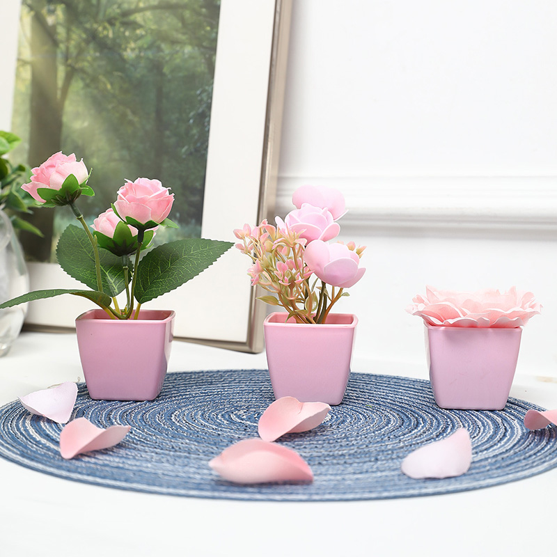 (3 個セット) 家、レストラン、テーブルトップ、窓辺、本棚 - Succulent Set のレビューと価格