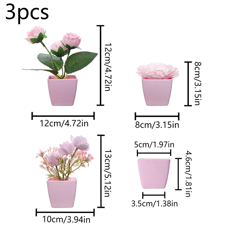 (3 個セット) 家、レストラン、テーブルトップ、窓辺、本棚 - Succulent Set のレビューと価格