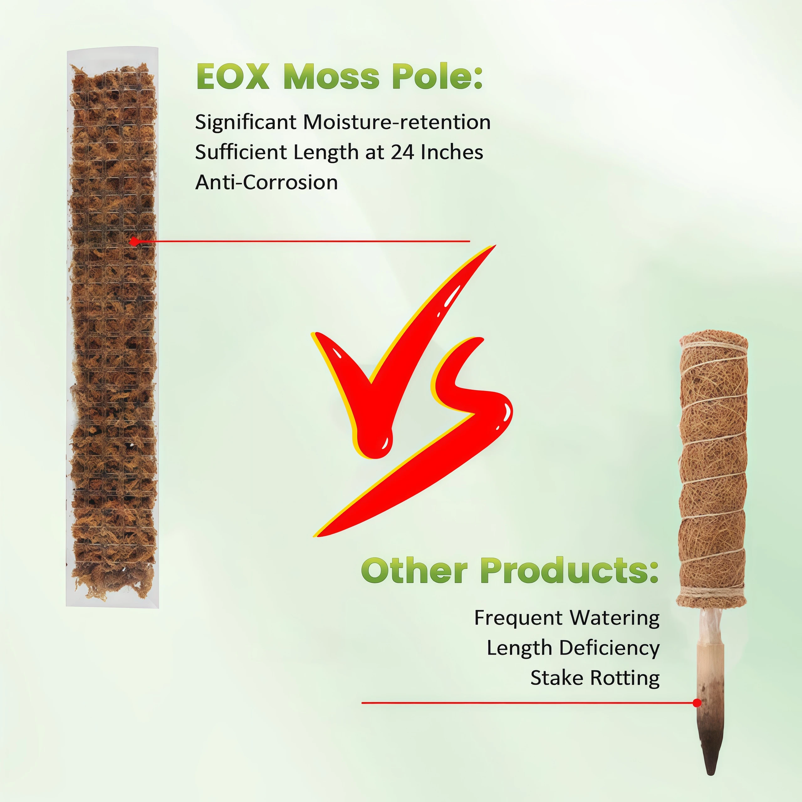室内で育てるつる性植物用のプラスチック製モスポール、植物スタ - Plant Support Stake のレビューと価格