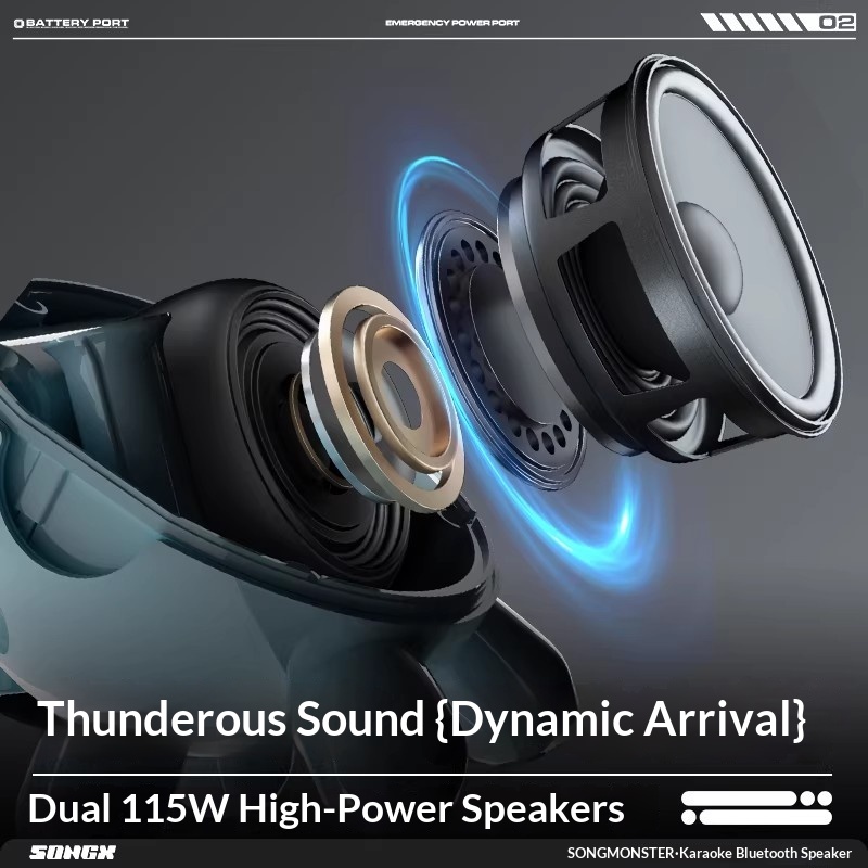 SONGX オーディオ デュアルマイク デュエット 15W  - Monstera のレビューと価格