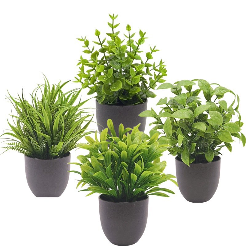 シミュレーショングリーンプラント盆栽　越境オフィスインテリア - Succulent Set のレビューと価格