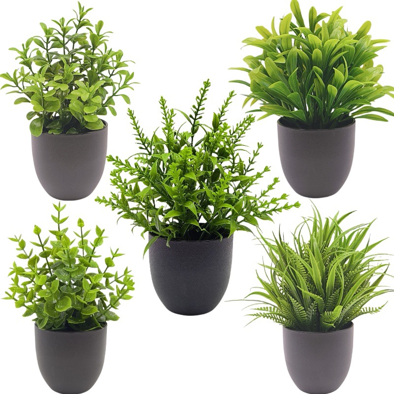シミュレーショングリーンプラント盆栽　越境オフィスインテリア - Succulent Set のレビューと価格