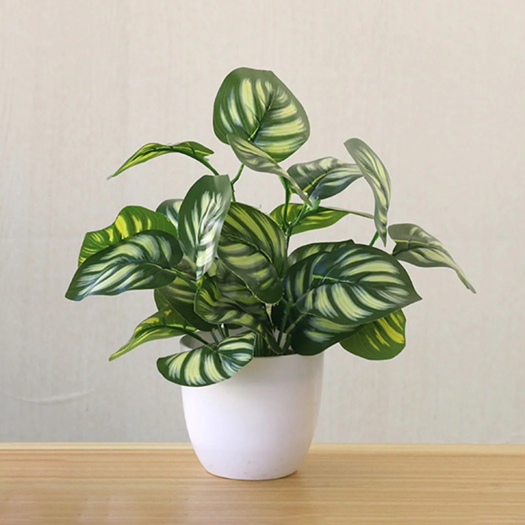 1PC 人工観葉植木鉢盆栽パーティーモールホームデスクトップ - Snake Plant のレビューと価格
